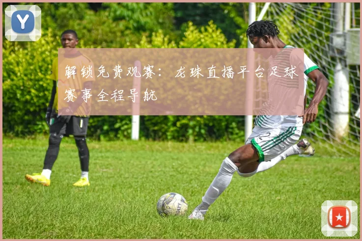 解锁免费观赛：龙珠直播平台足球赛事全程导航