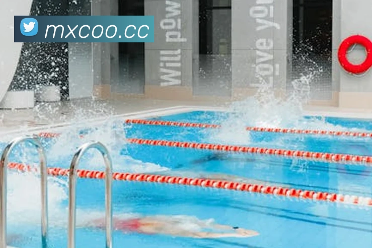 多媒体互动体验